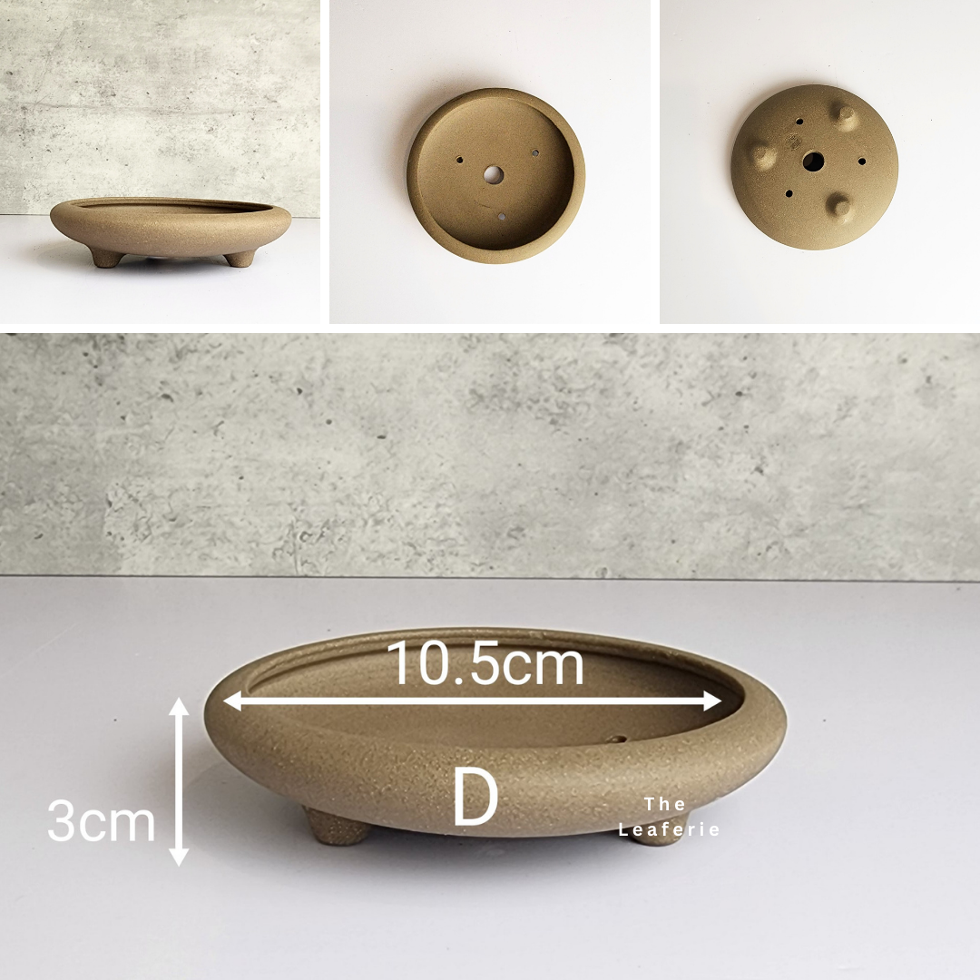 Bonsai Tray / Flowerpot (Series 6)
