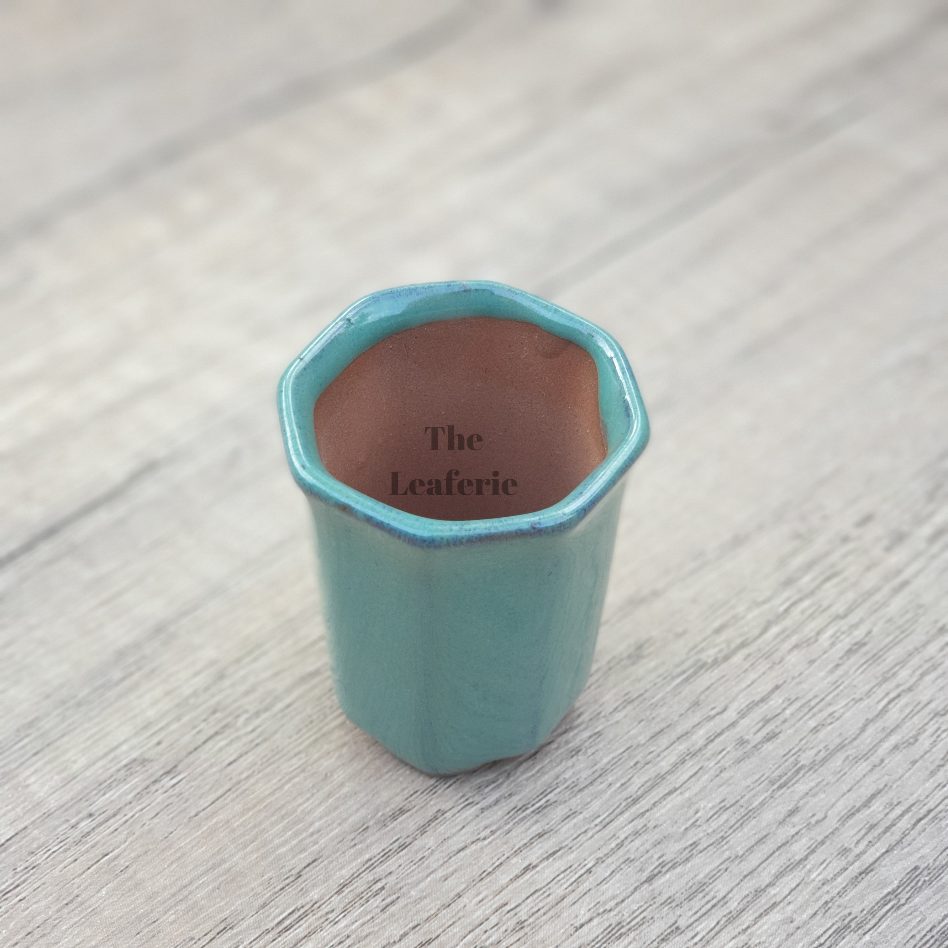 Petit Bonsai Pot (Series 7)