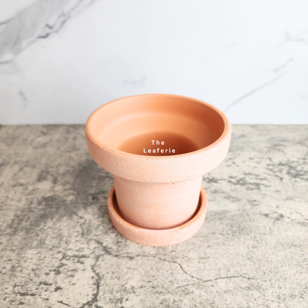 Yara Terracotta Flowerpot with Tray