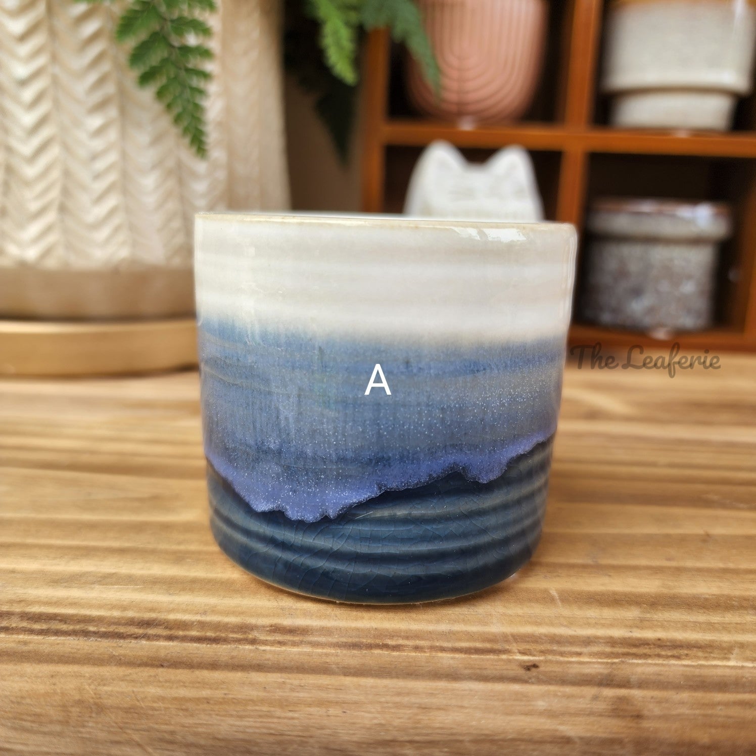 Petit Flowerpots (Series 5)