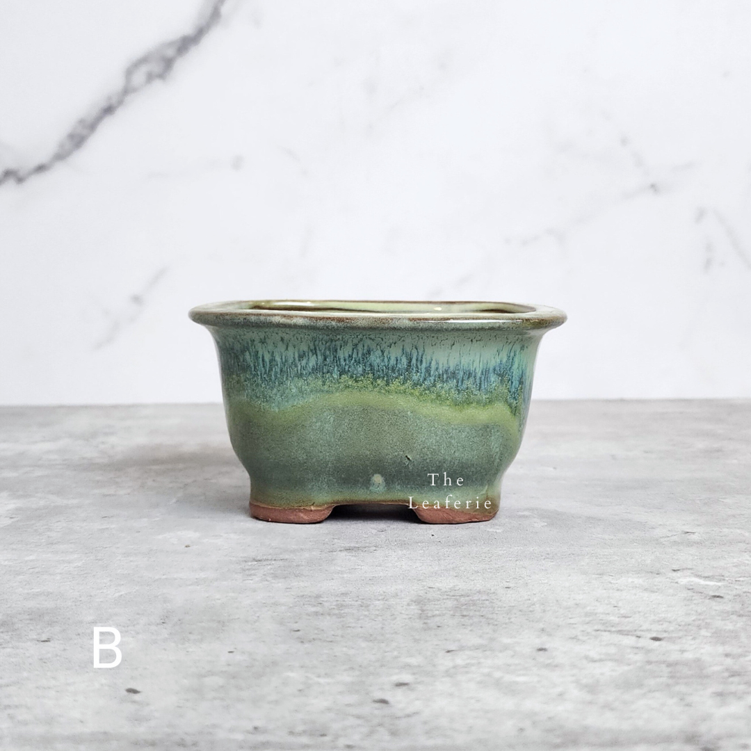 Bonsai Flowerpot (Series 24)