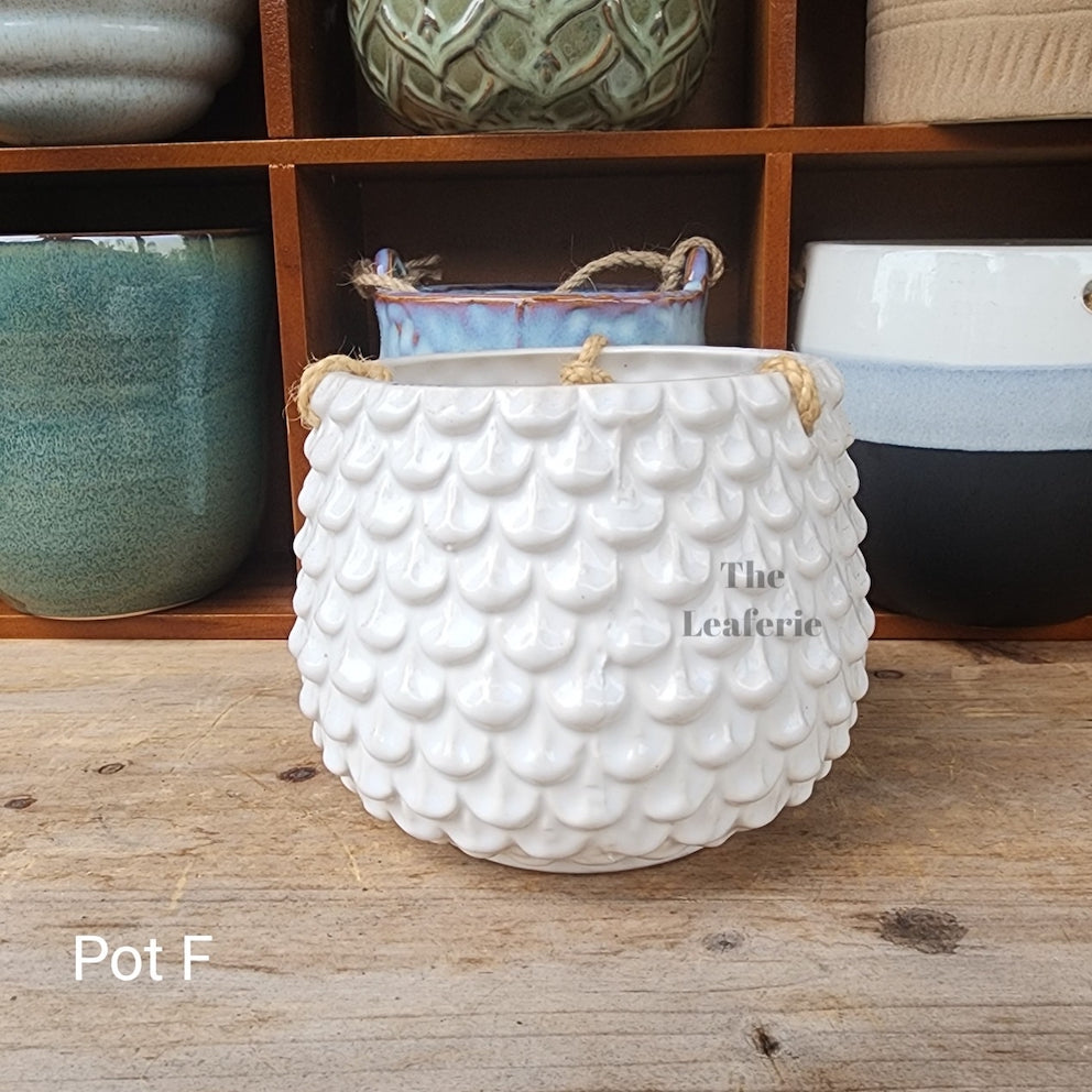 SKYLAR Collection Hanging Pots