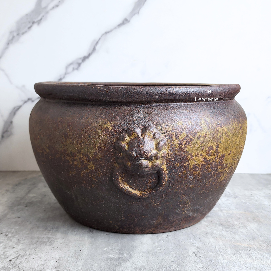 Lorelei Flowerpot (Suitable for Fish Bowl)