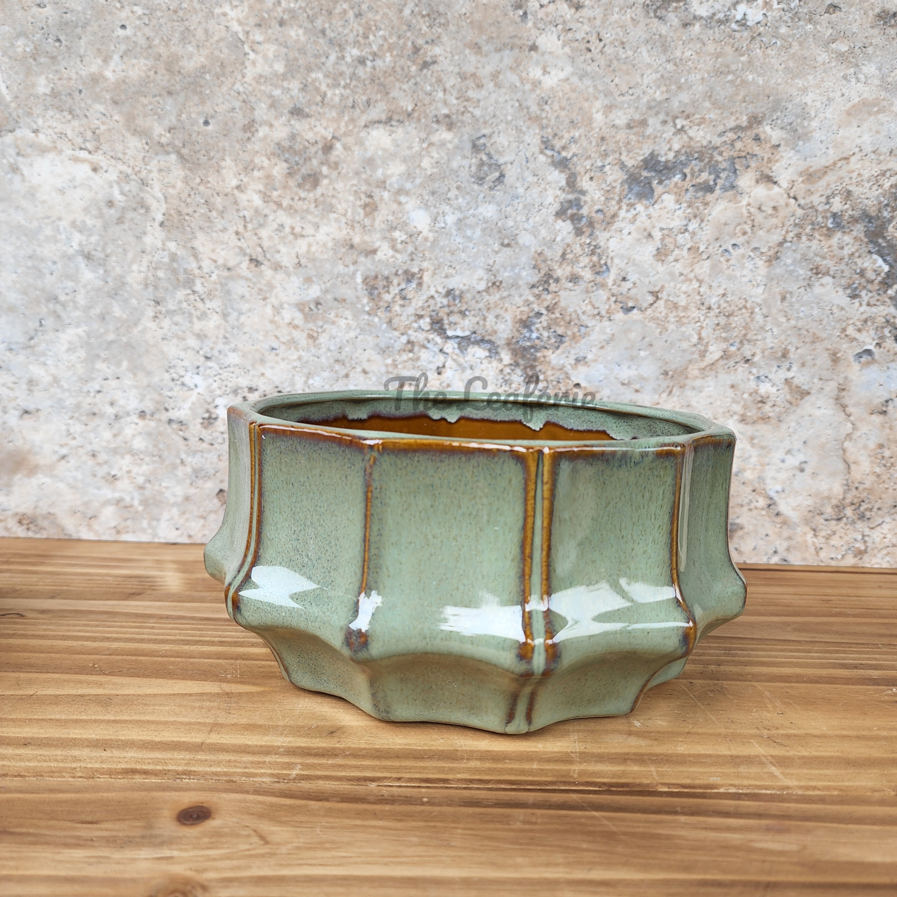 Knoxx Shallow Flowerpot