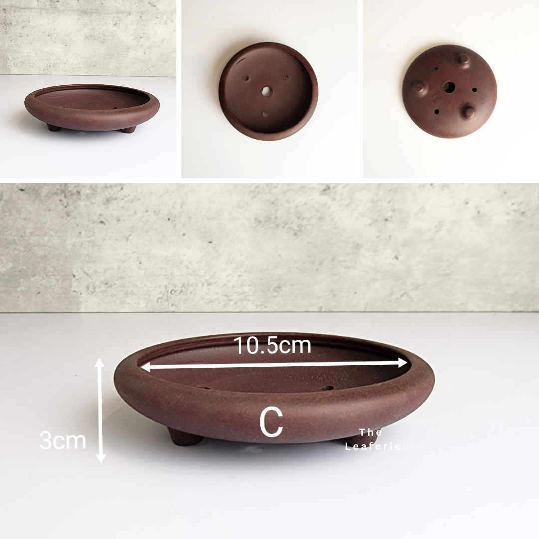 Bonsai Tray / Flowerpot (Series 6)