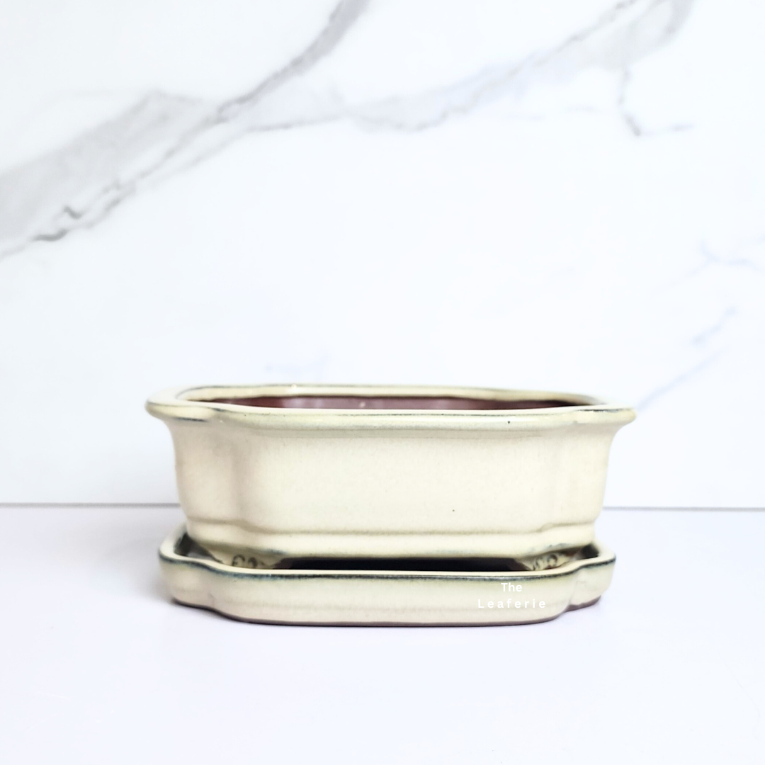 Bonsai Flowerpot (Series 40) with tray