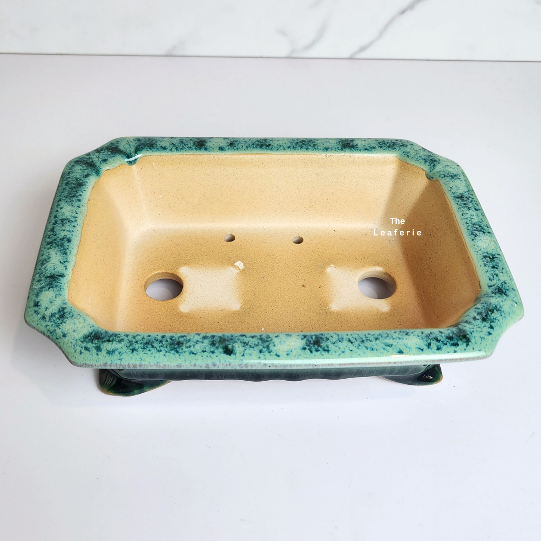 Bonsai Tally (Series 7) Flowerpot