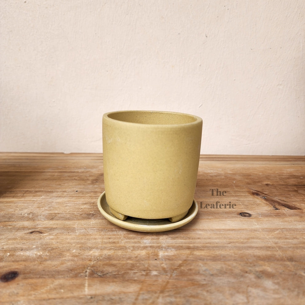 Noemie Mini Bonsai Pot (Series 1)