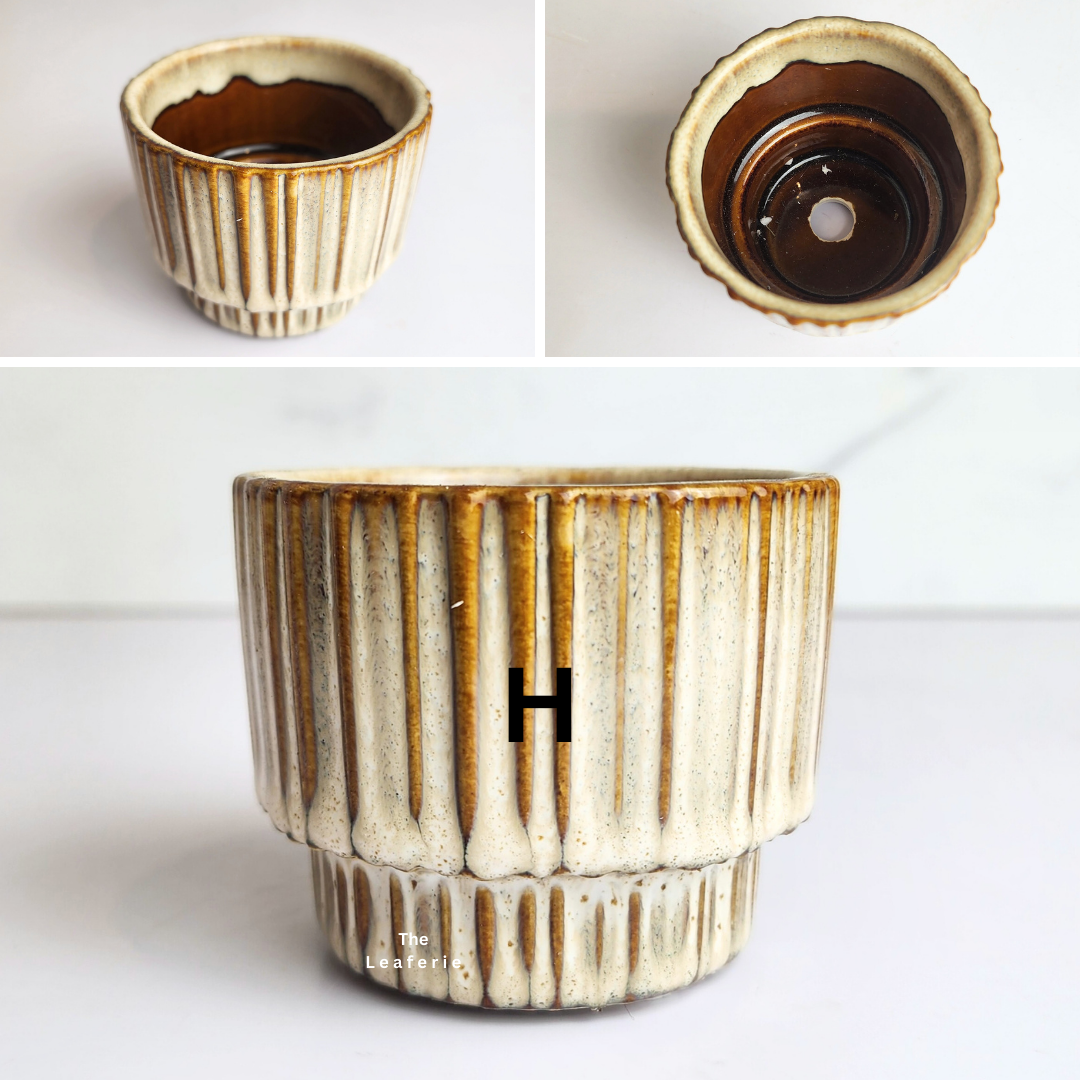 Petit Flowerpots (Series 12)