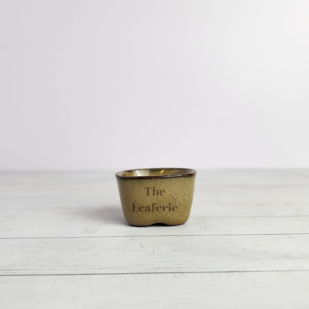 Petit Bonsai Flowerpot (Series 6)