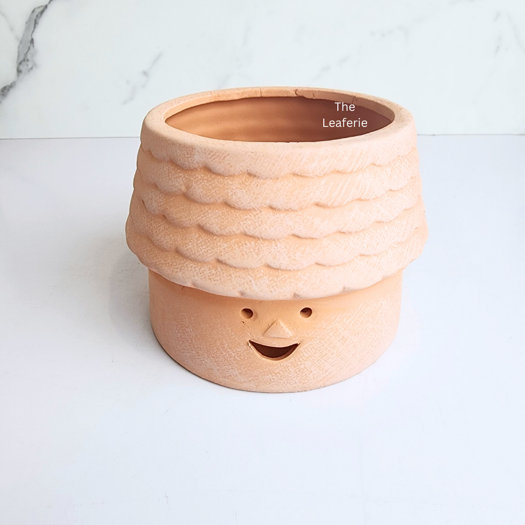 Yandel Terracotta Flowerpot ( 2 designs)