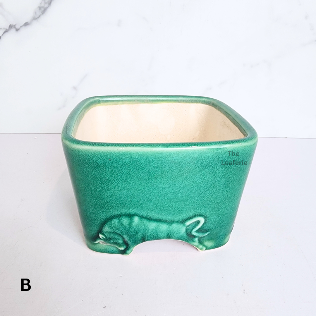 Bonsai Flowerpot (Series 62) Square