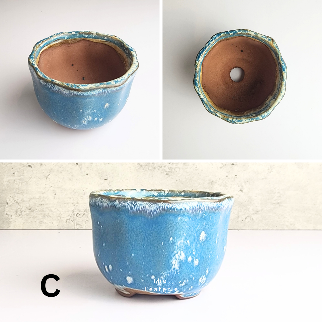 Bonsai Flowerpot (Series 32)