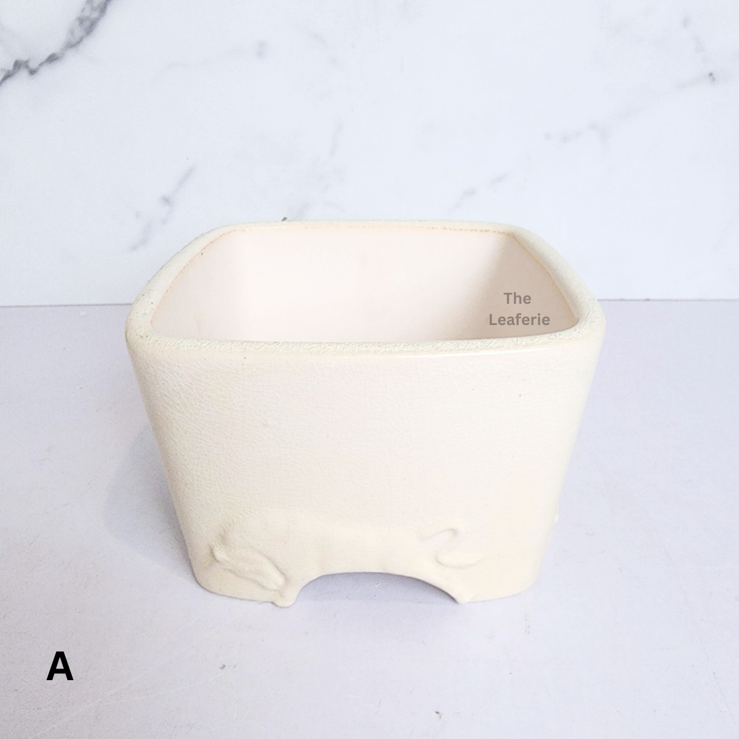 Bonsai Flowerpot (Series 62) Square
