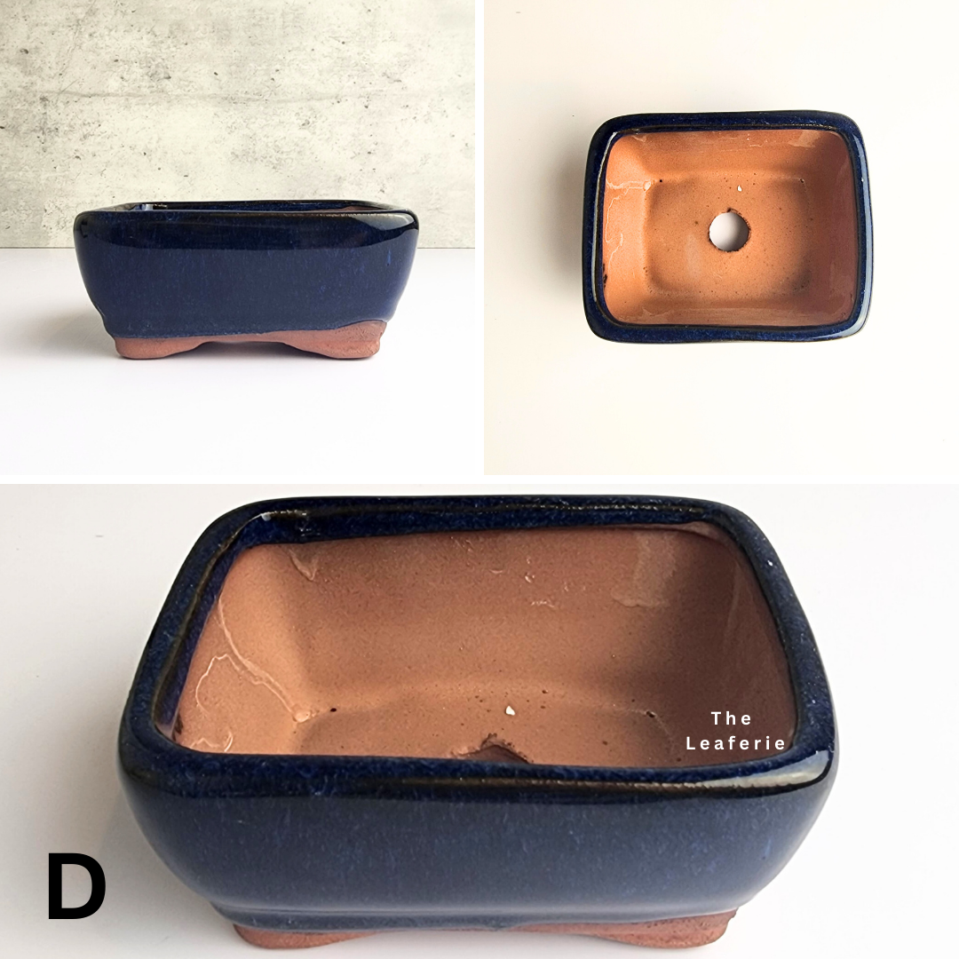 Bonsai Flowerpot (Series 33)