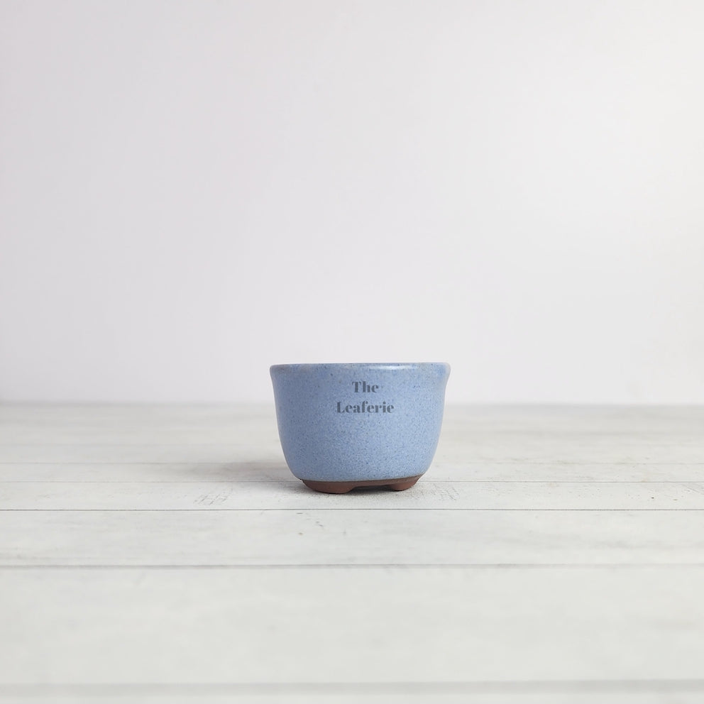 Petit Bonsai Pot (Series 15)
