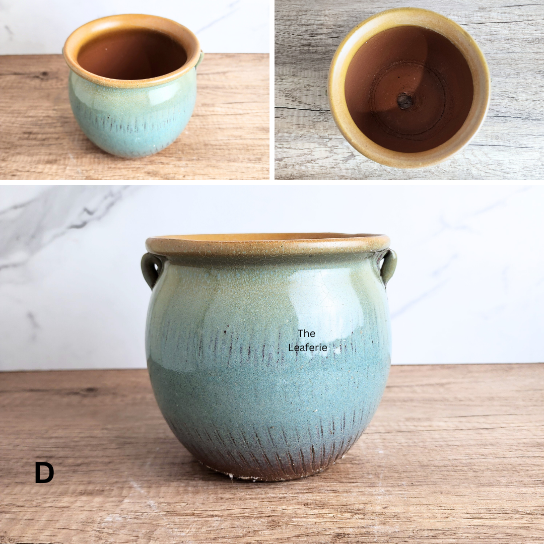 Sanrevelle Flowerpot (5 colours)