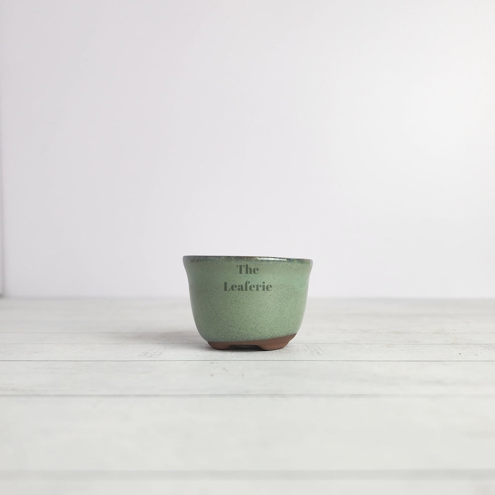 Petit Bonsai Pot (Series 15)