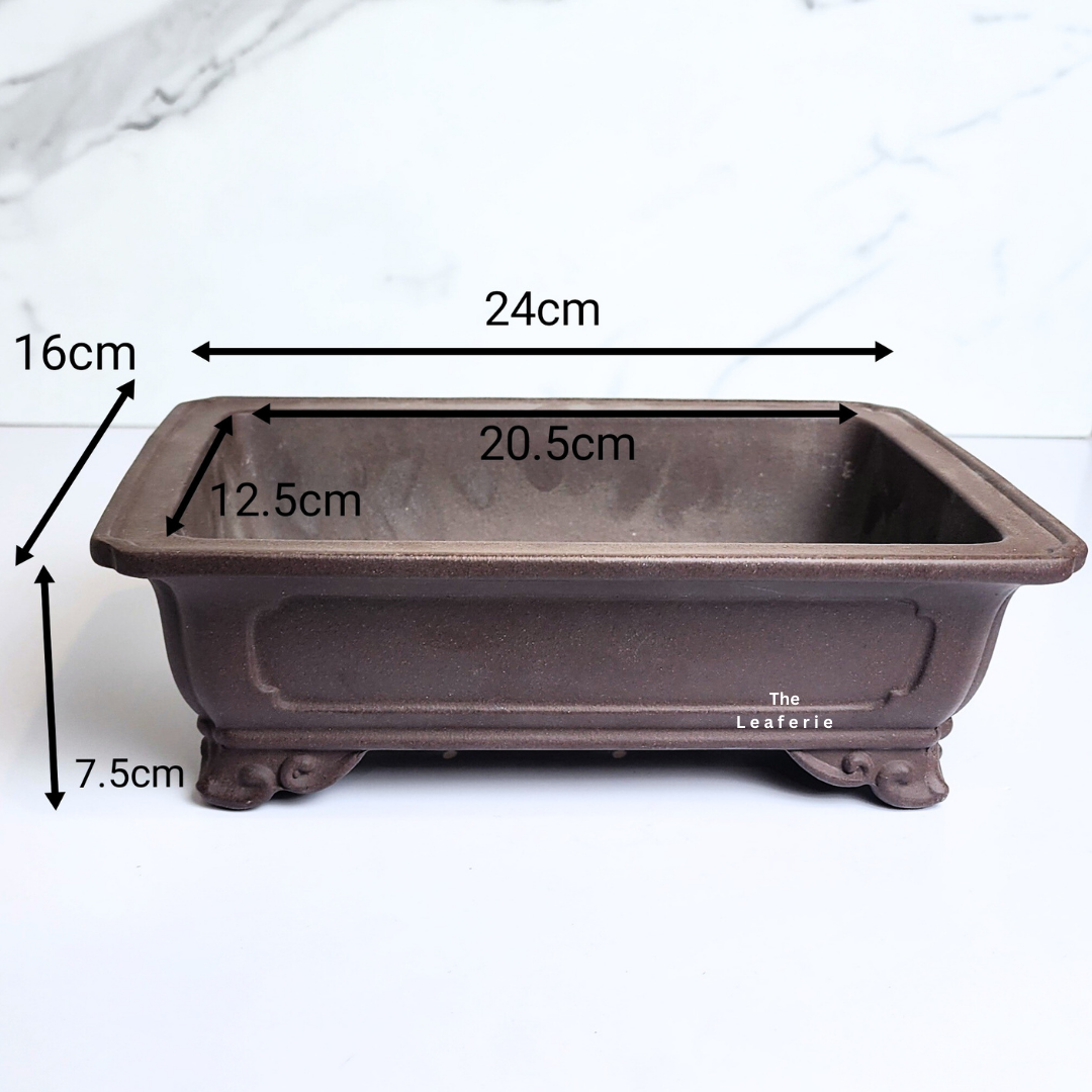 Bonsai Tally (Series 6) Rectangular Flowerpot