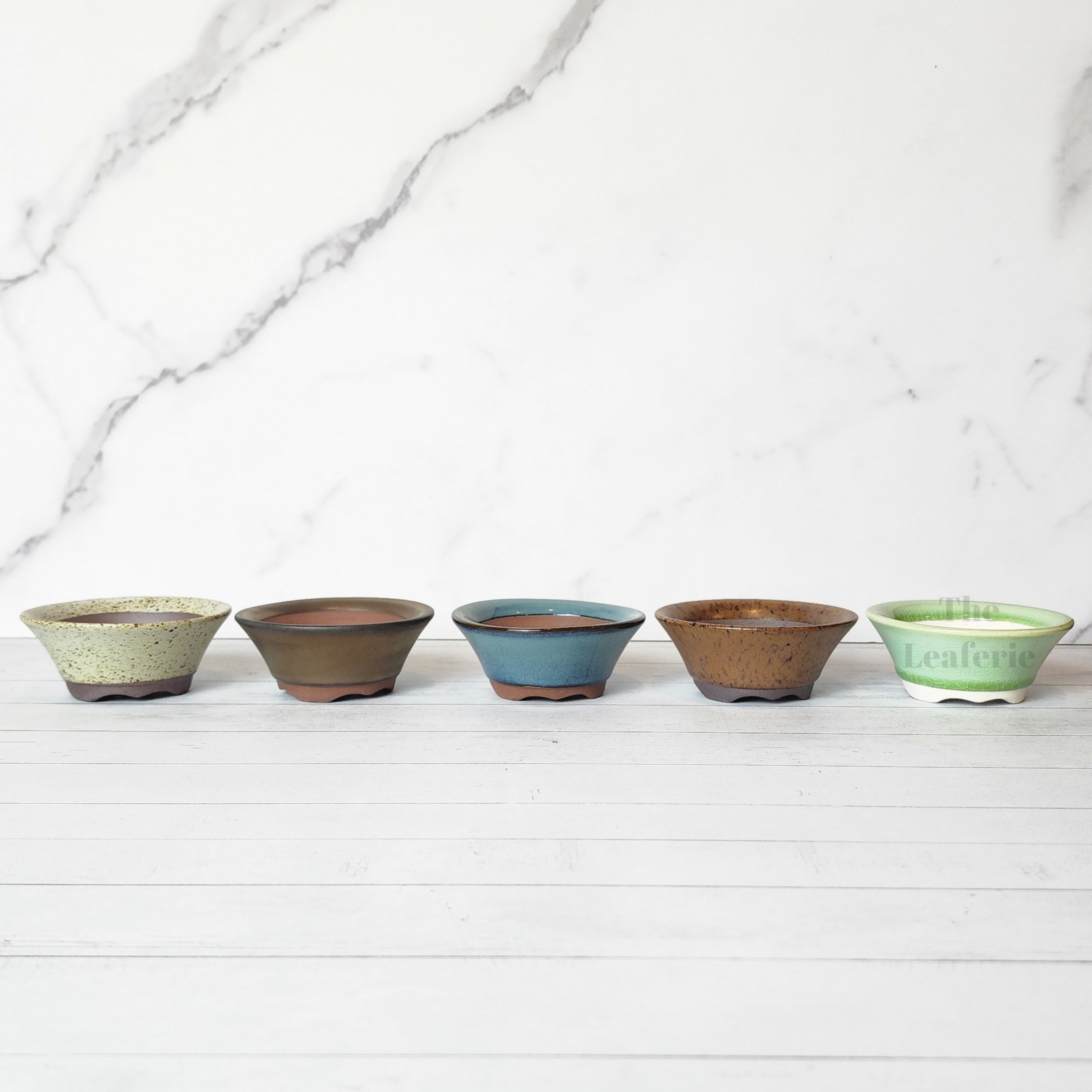 Petit Bonsai Pot (Series 12)