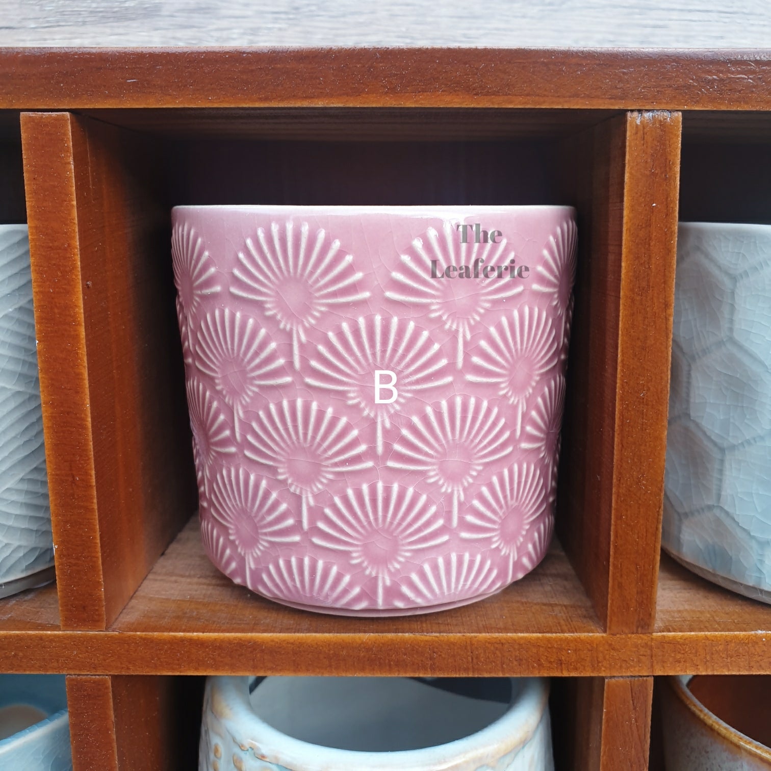 Petit Flowerpots (Series 1)