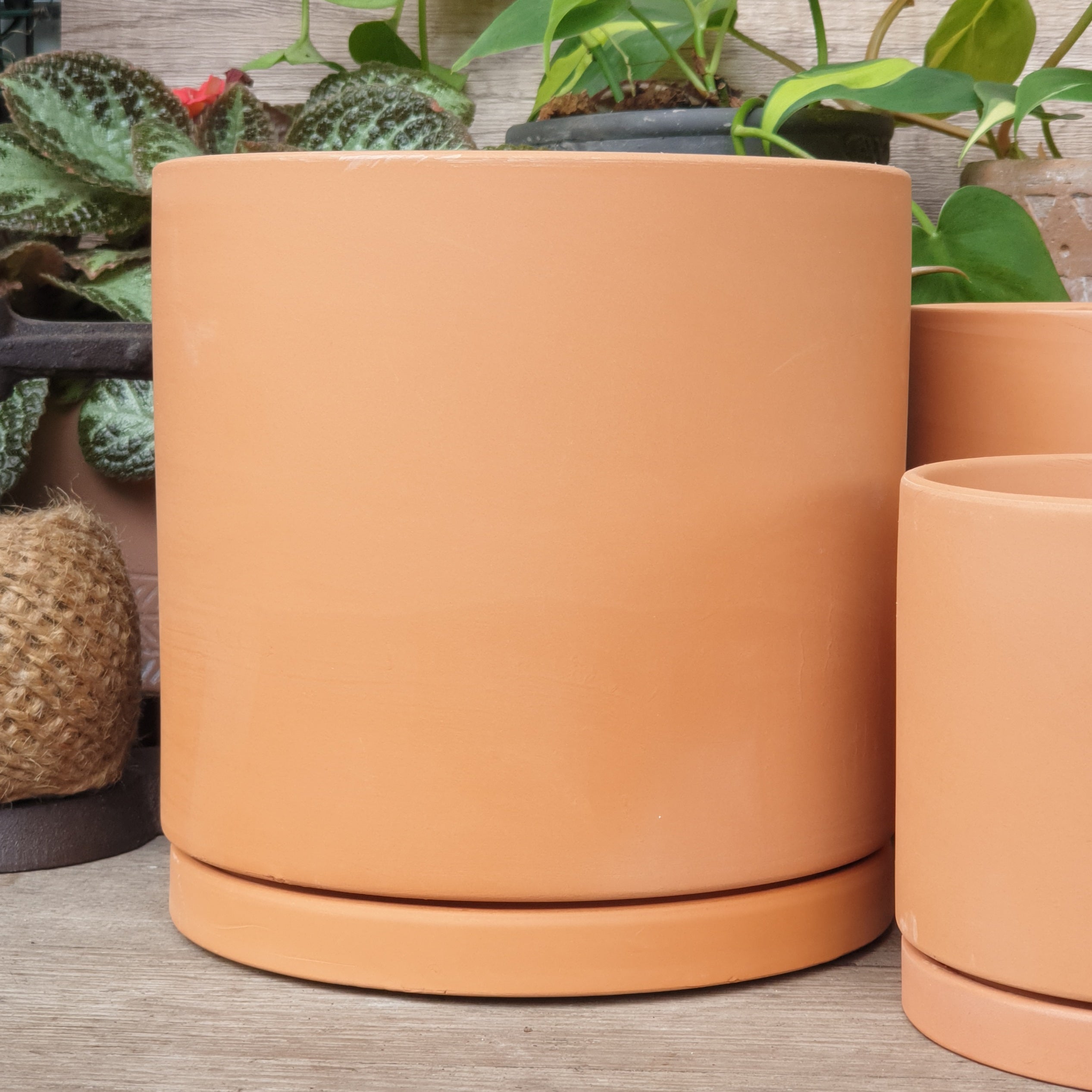 Terracotta E Flowerpot