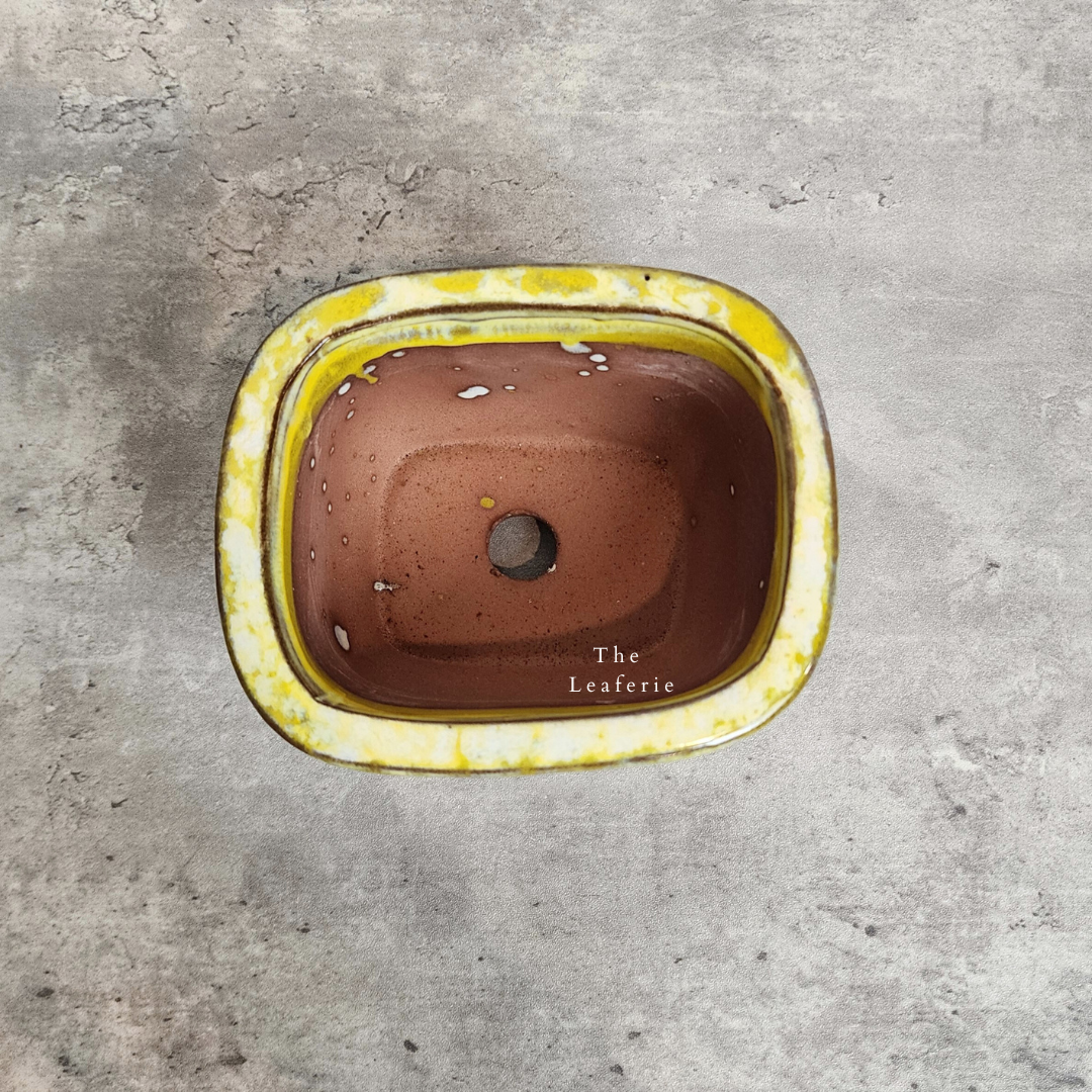 Bonsai Flowerpot (Series 24)