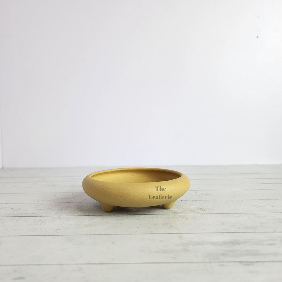 Petit Bonsai Tray / flowerpot (Series 4)