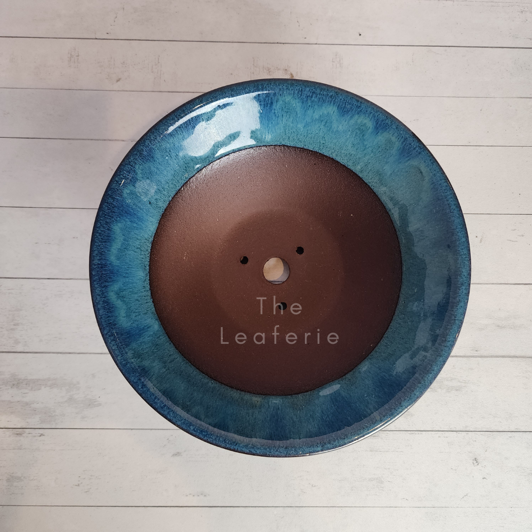 Tally Bonsai Flowerpot (Series 1)