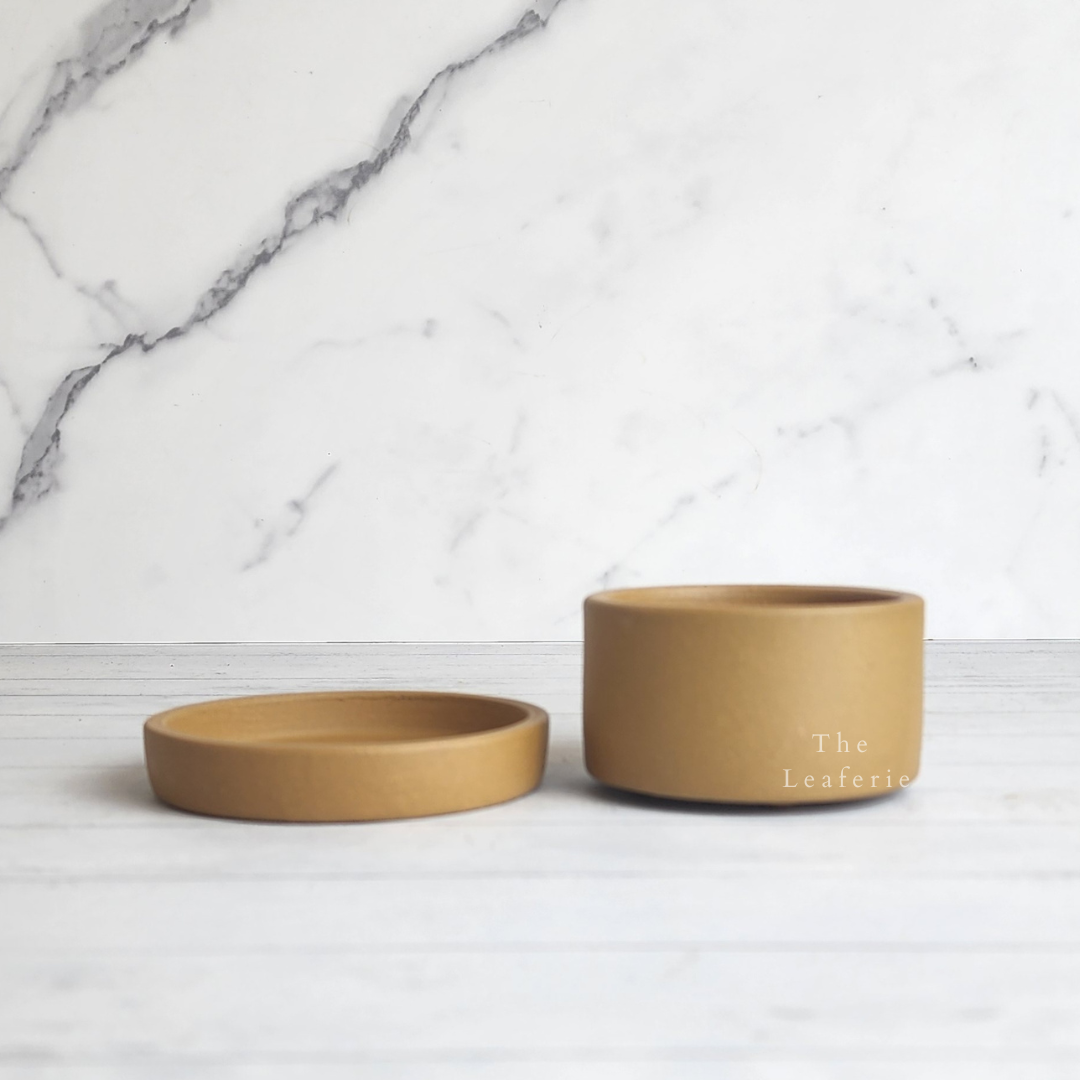 Noemie Mini Flowerpot (Series 2)