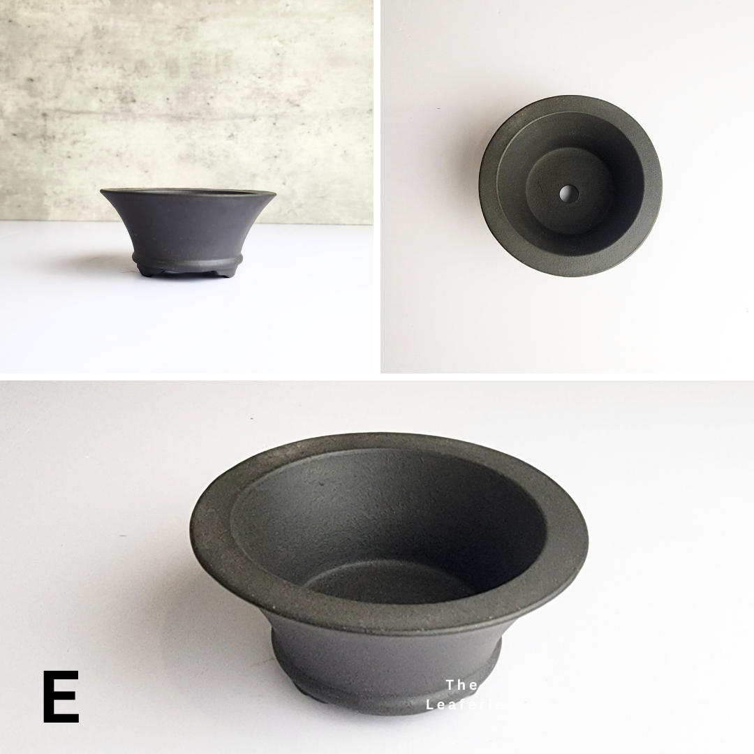 Bonsai Flowerpot (Series 34)