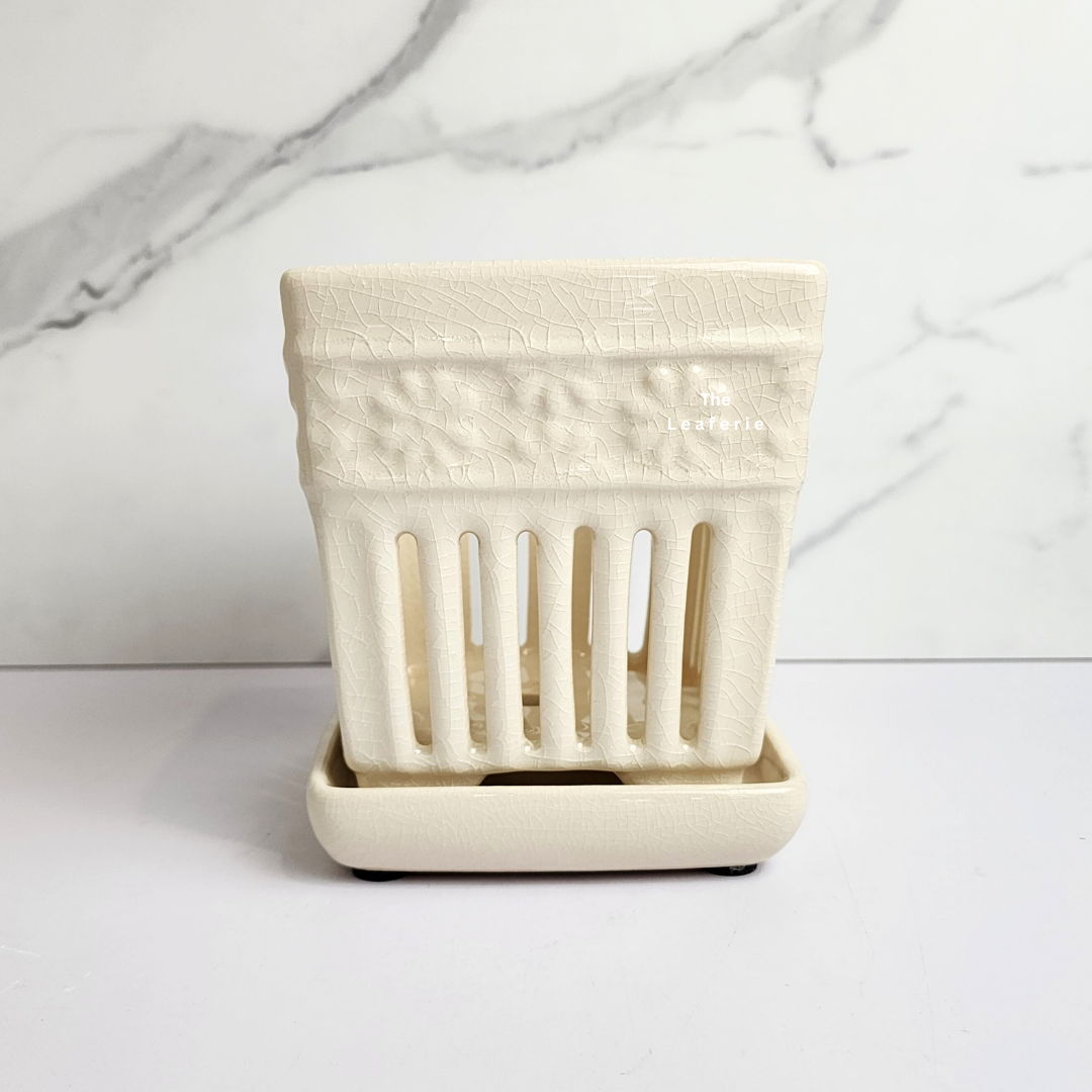 Leia Orchid Flowerpot with Tray (Series 2)