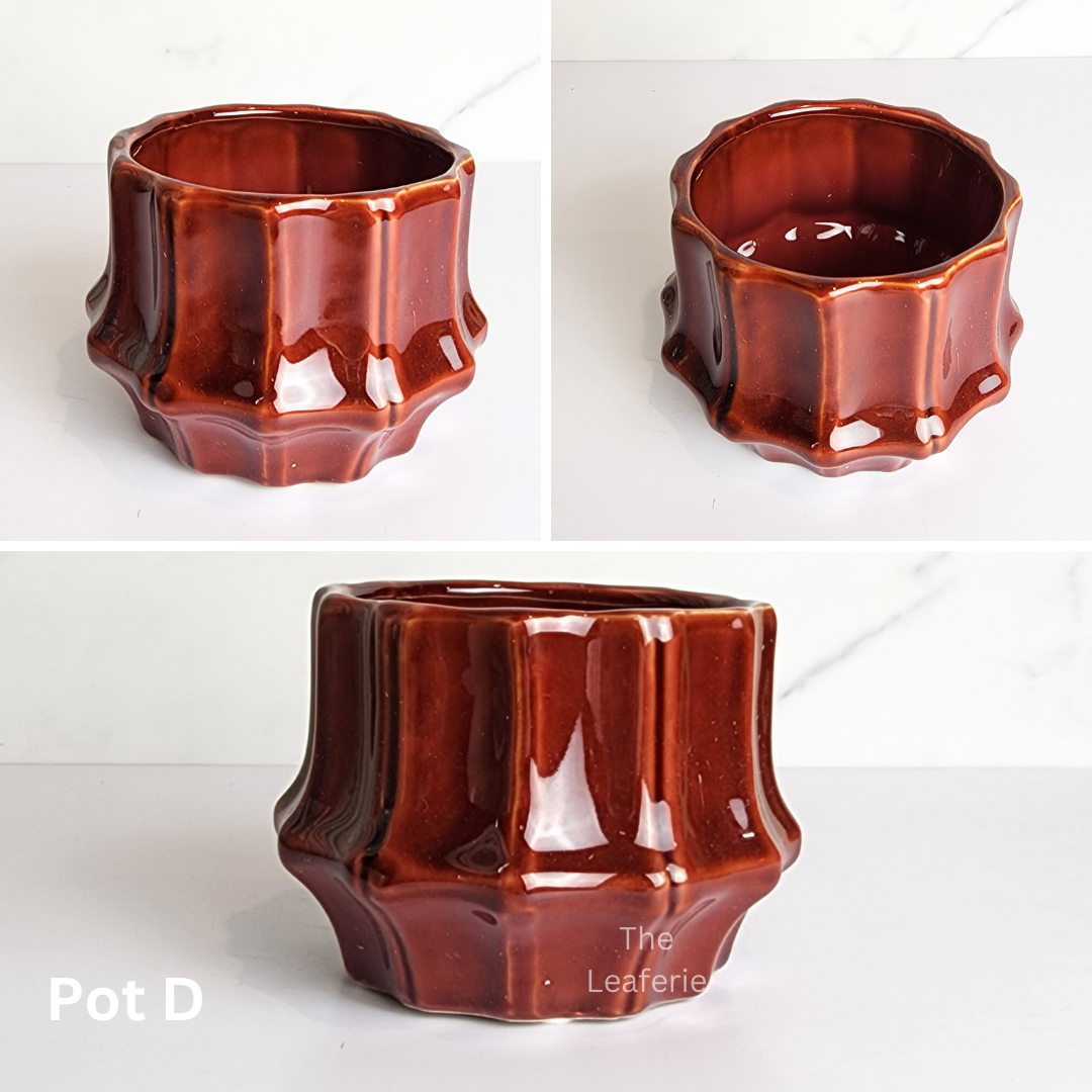 Mini Flowerpots (Series 10) 10cm