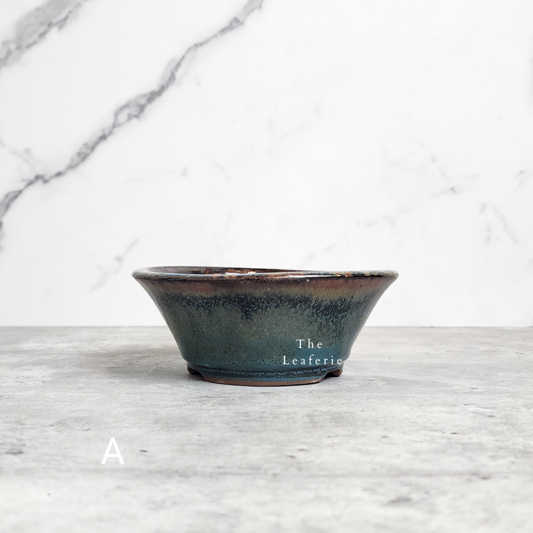 Bonsai Flowerpots (Series 23)