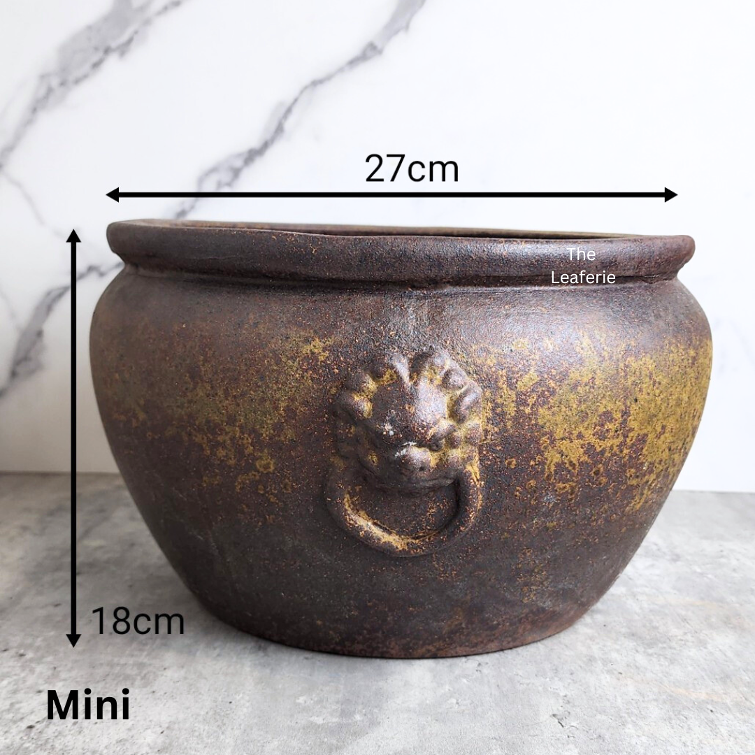 Lorelei Flowerpot (Suitable for Fish Bowl)