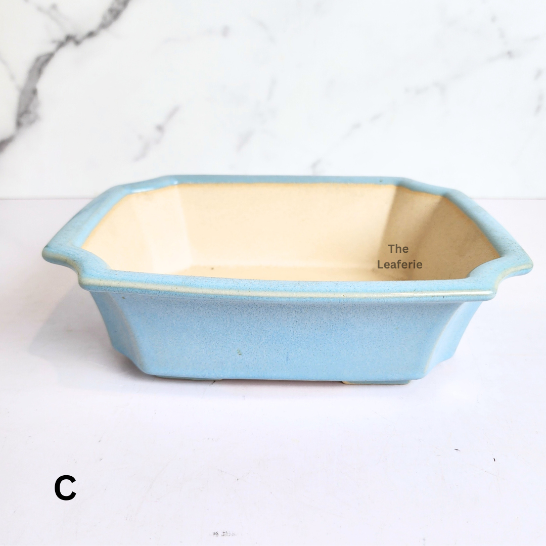 Bonsai Tally (Series 11) Flowerpot