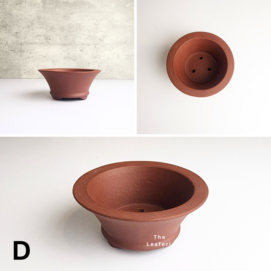 Bonsai Flowerpot (Series 34)
