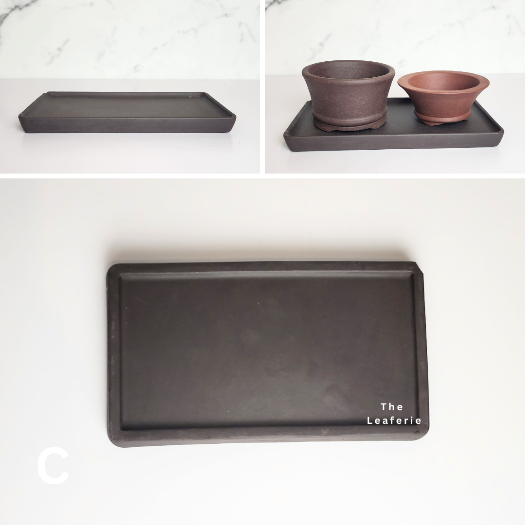 Zisha Rectangular trays (3 Colours)