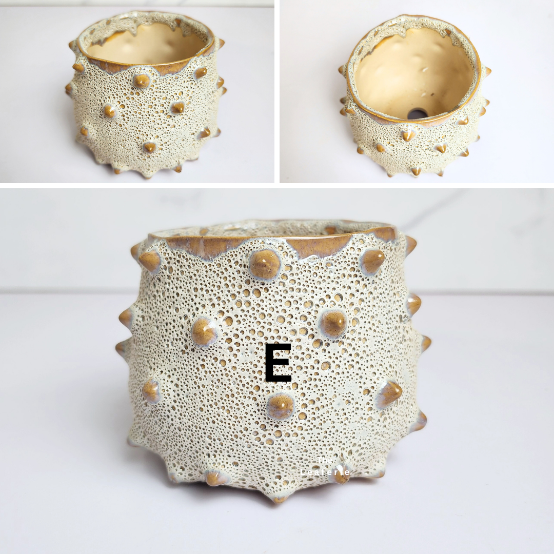 Petit Flowerpots (Series 16)