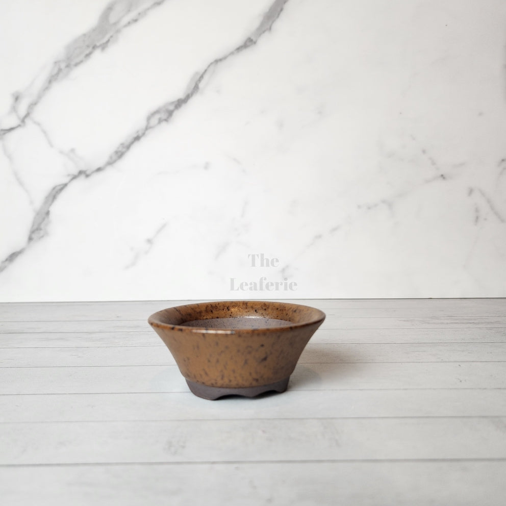 Petit Bonsai Pot (Series 12)