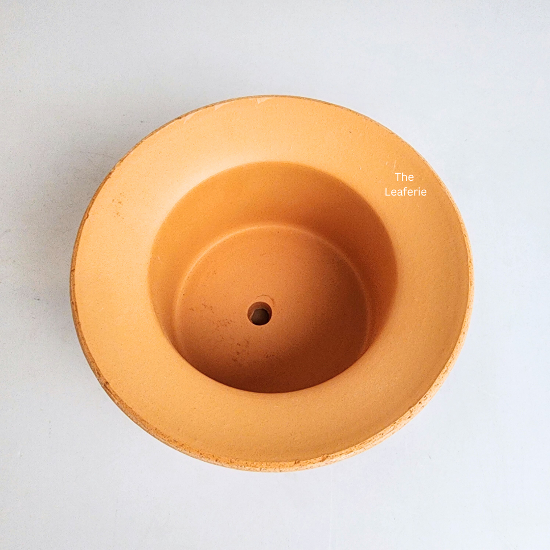 Yen Terracotta Flowerpot