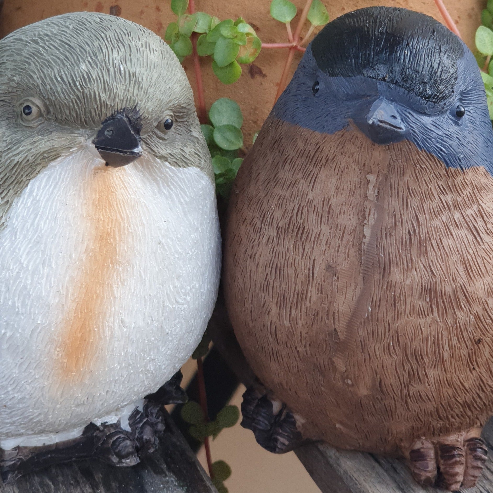 Birds Garden Decorations (Set of 6 birds)