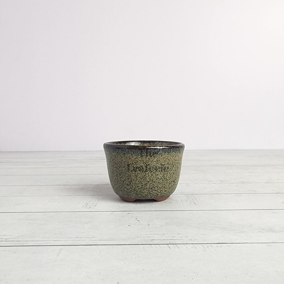 Petit Bonsai Pot (Series 15)