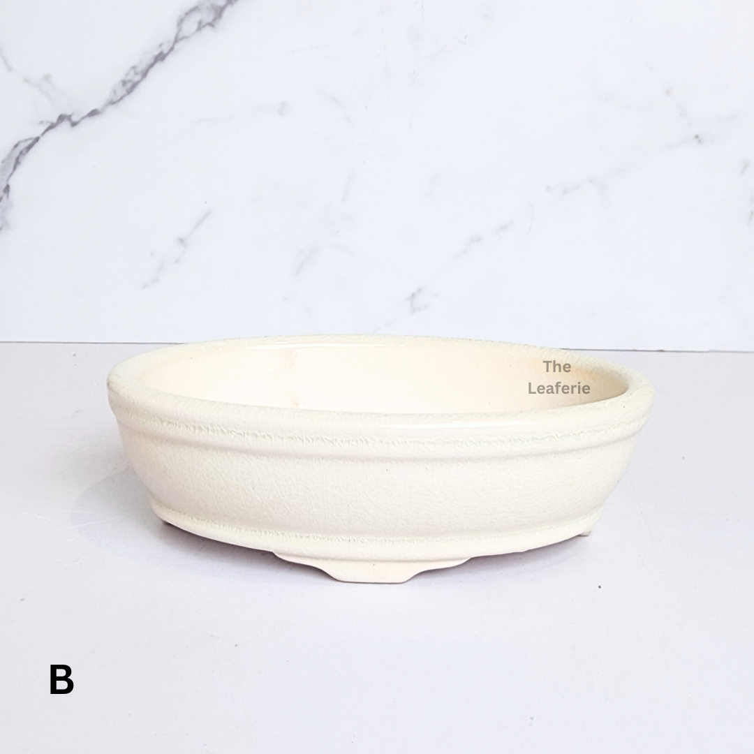 Bonsai Flowerpot (Series 63) Oval