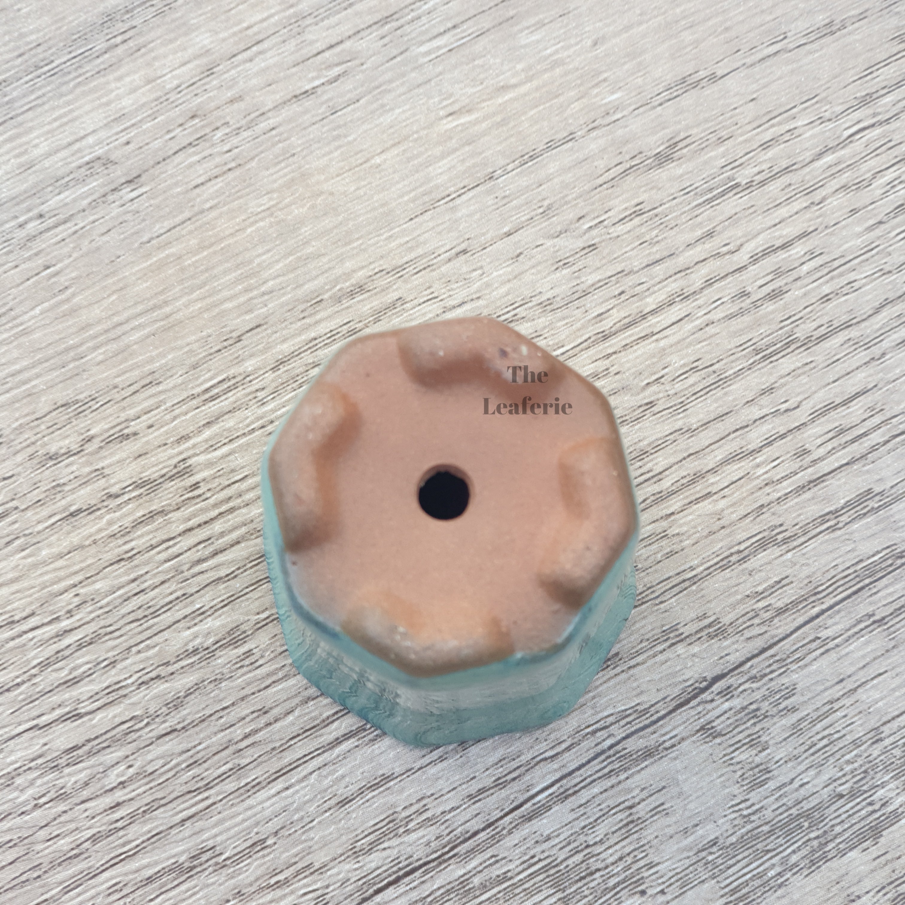 Petit Bonsai Pot (Series 7)