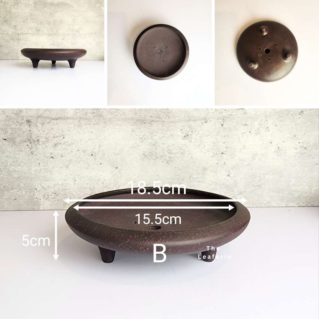 Bonsai Tray / Flowerpot (Series 3)