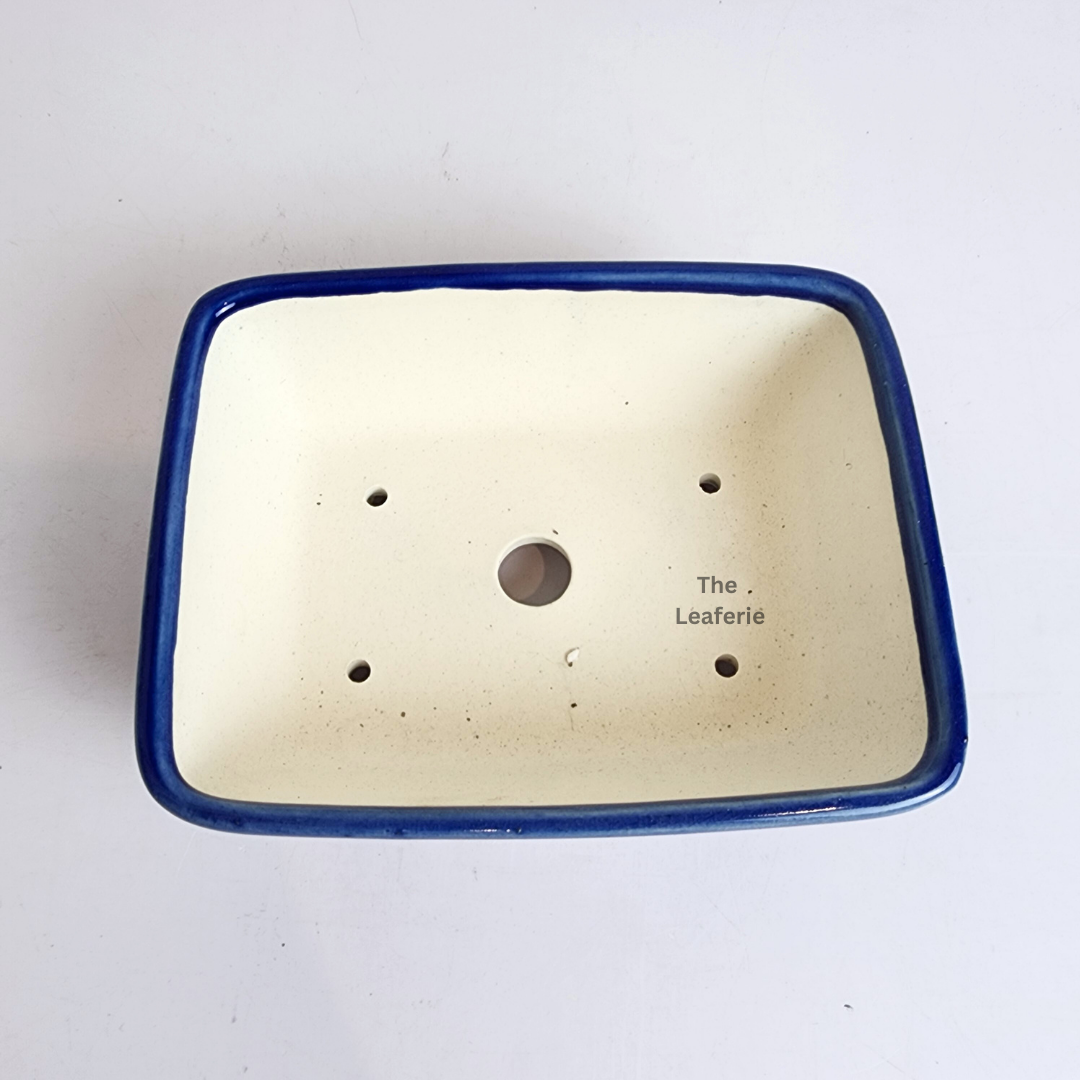 Bonsai Flowerpot (Series 66) Rectangular