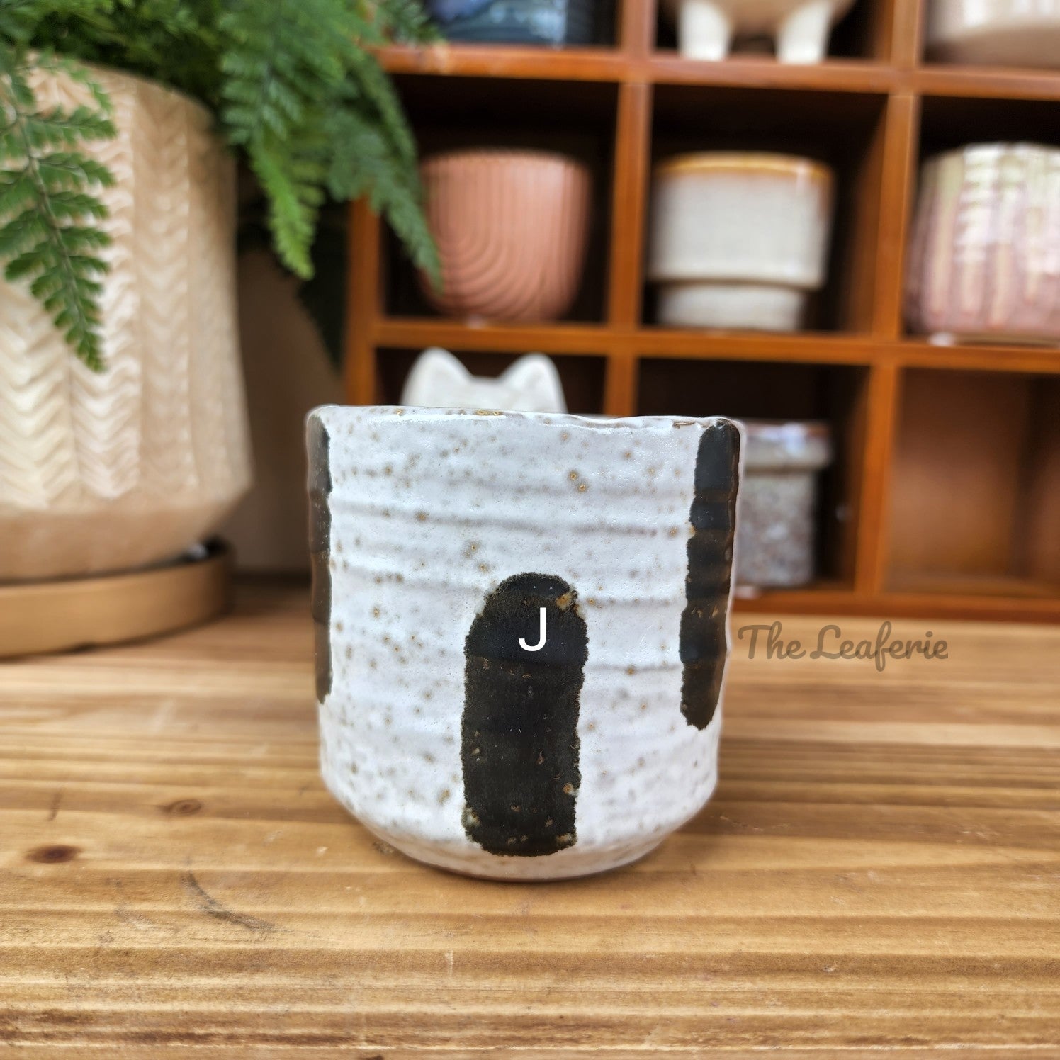 Petit Flowerpots (Series 5)