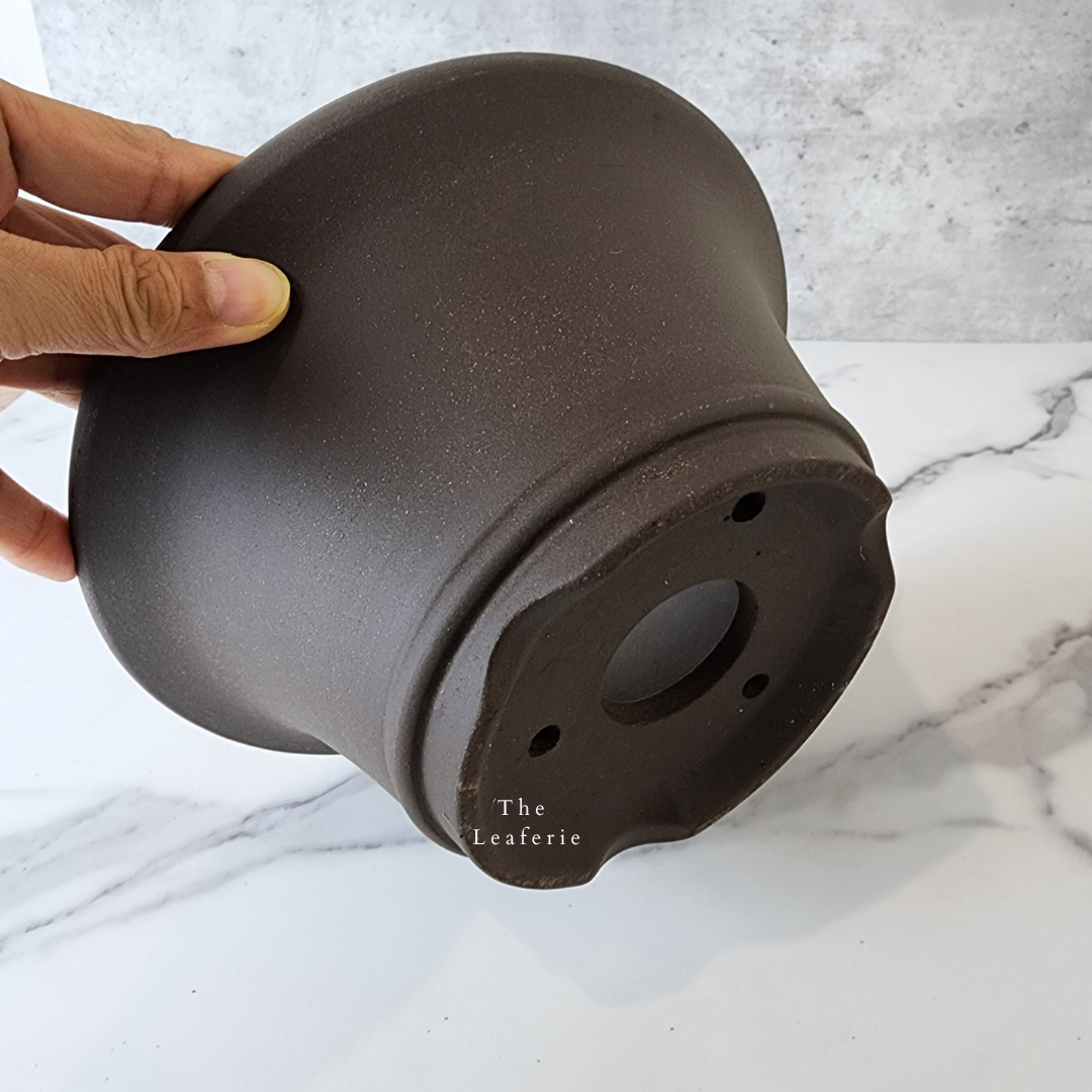 Bonsai Flowerpots (Series 20)