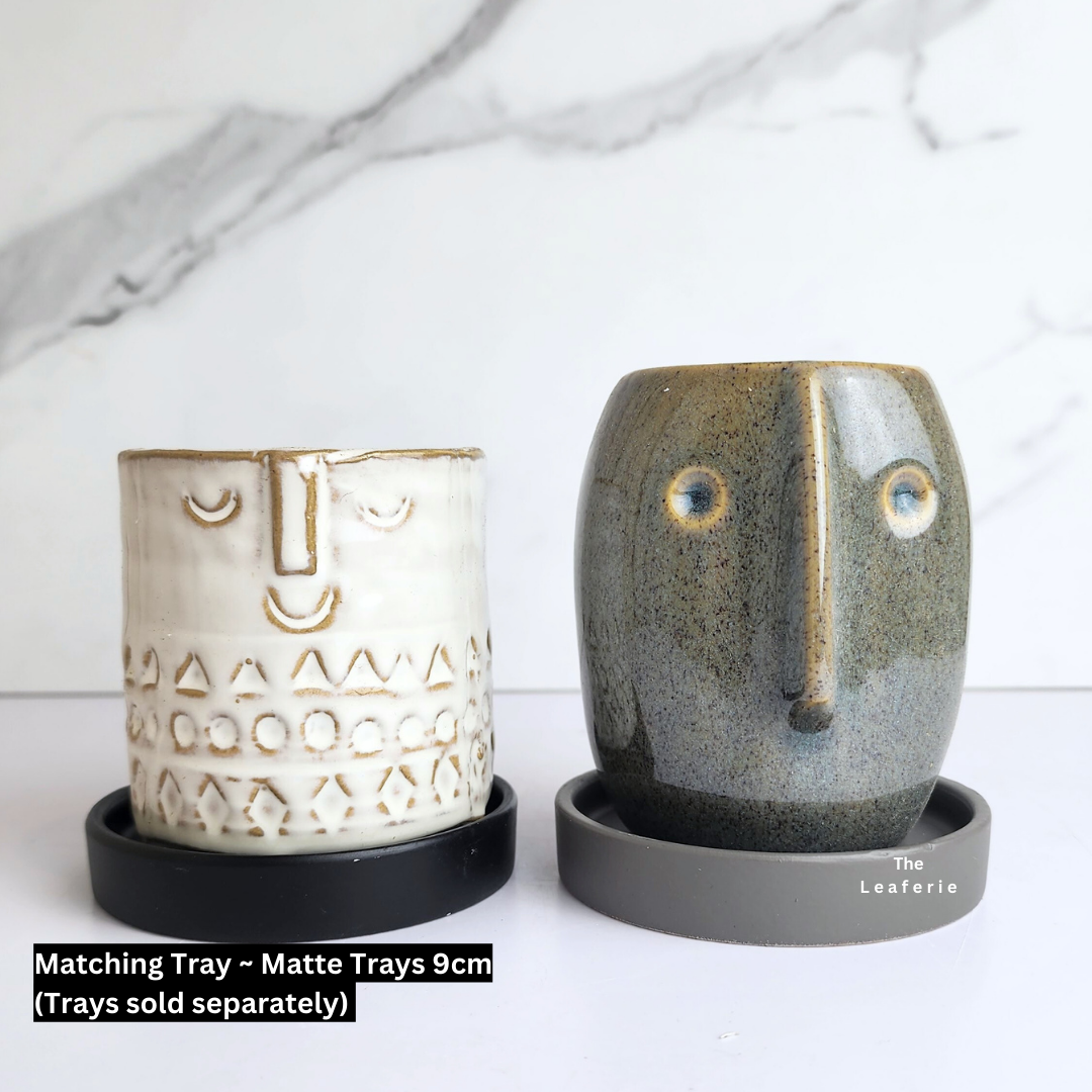 Petit Flowerpots (Series 13)